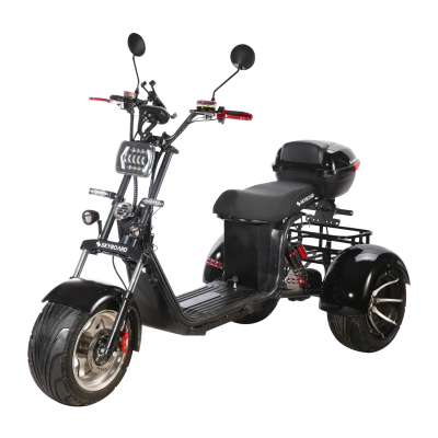Электробайк Skyboard BR60-3000 Pro Fast купить в Нижнем Новгороде