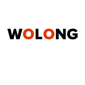 Электромотоциклы Wolong
