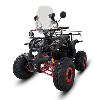Электроквадроцикл White Siberia Sneg Pro 3000W купить в Нижнем Новгороде