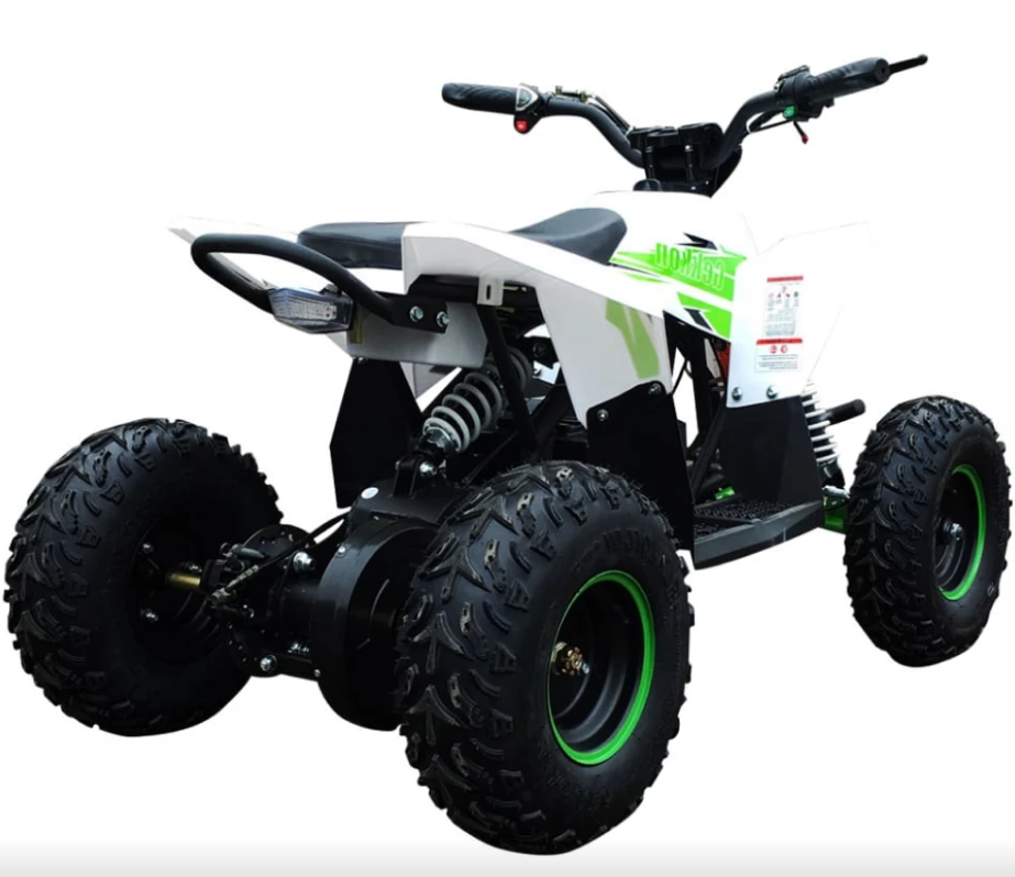 Электроквадроцикл Motax Gekkon 1300W купить в Нижнем Новгороде
