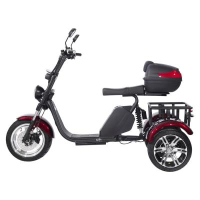 Электроскутер СitiCoco SkyBoarD BR80 Trike купить в Нижнем Новгороде