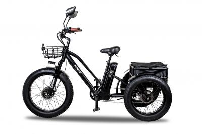 Электровелосипед Minako Trike купить в Нижнем Новгороде