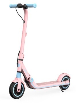 Электросамокат Ninebot eKickScooter Zing E8 Pink купить в Нижнем Новгороде