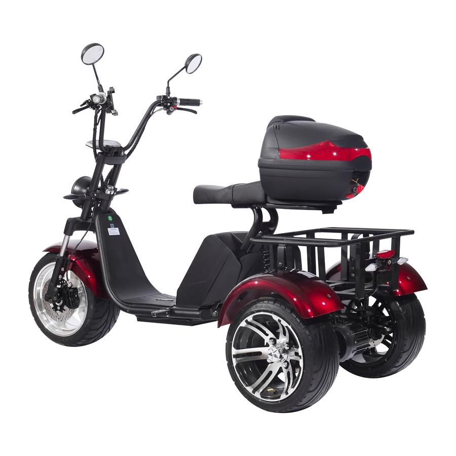 Электроскутер СitiCoco SkyBoarD BR80 Trike купить в Нижнем Новгороде