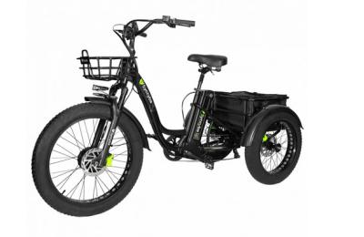 Электровелосипед Syccyba Trike 20Ah купить в Нижнем Новгороде