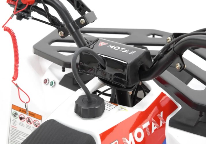 Квадроцикл MOTAX GRIZLIK A125 купить в Нижнем Новгороде