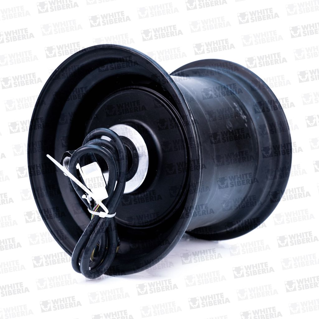 CITYCOCO Мотор колесо 2000W 8 дюйм (2WD) , Ширина магнита 60мм купить в Нижнем Новгороде