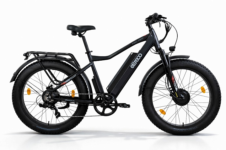 Электровелосипед Eltreco BigCat Dual Next купить в Нижнем Новгороде