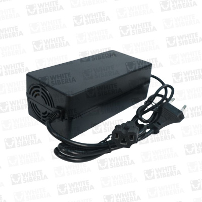 Зарядное устройство Sneg Pro 60V20Ah купить в Нижнем Новгороде
