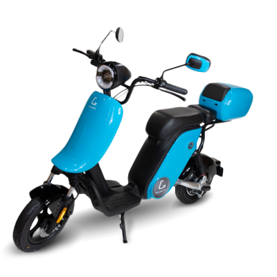 Электроскутер Kugoo King Jilong 1000W/17Ah купить в Нижнем Новгороде