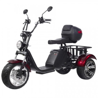 Электроскутер СitiCoco SkyBoarD BR80 Trike купить в Нижнем Новгороде