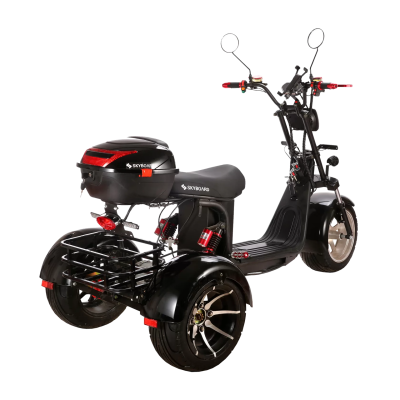 Электробайк Skyboard BR60-3000 Pro Fast купить в Нижнем Новгороде