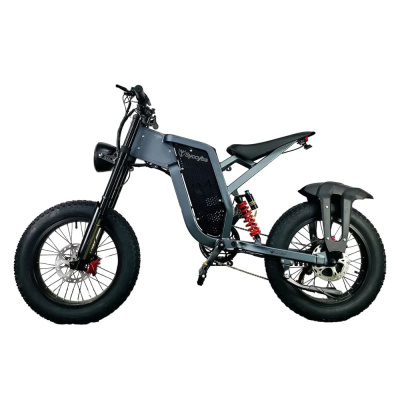 Электровелосипед Syccyba Impulse Pro (X21) 35 Ah Спицы купить в Нижнем Новгороде