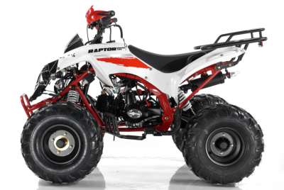 Электроквадроцикл Motax ATV Raptor Super LUX 125 купить в Нижнем Новгороде