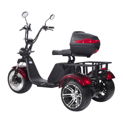 Электроскутер СitiCoco SkyBoarD BR80 Trike купить в Нижнем Новгороде
