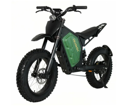 Электровелосипед Ikingi EBA 219 S9 купить в Нижнем Новгороде
