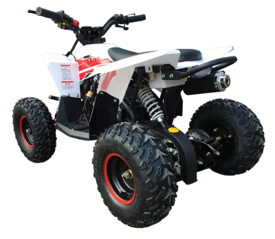 Комплект квадроцикла MOTAX GEKKON 90 cc реверс купить в Нижнем Новгороде