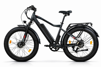 Электровелосипед Eltreco BigCat Dual Next купить в Нижнем Новгороде